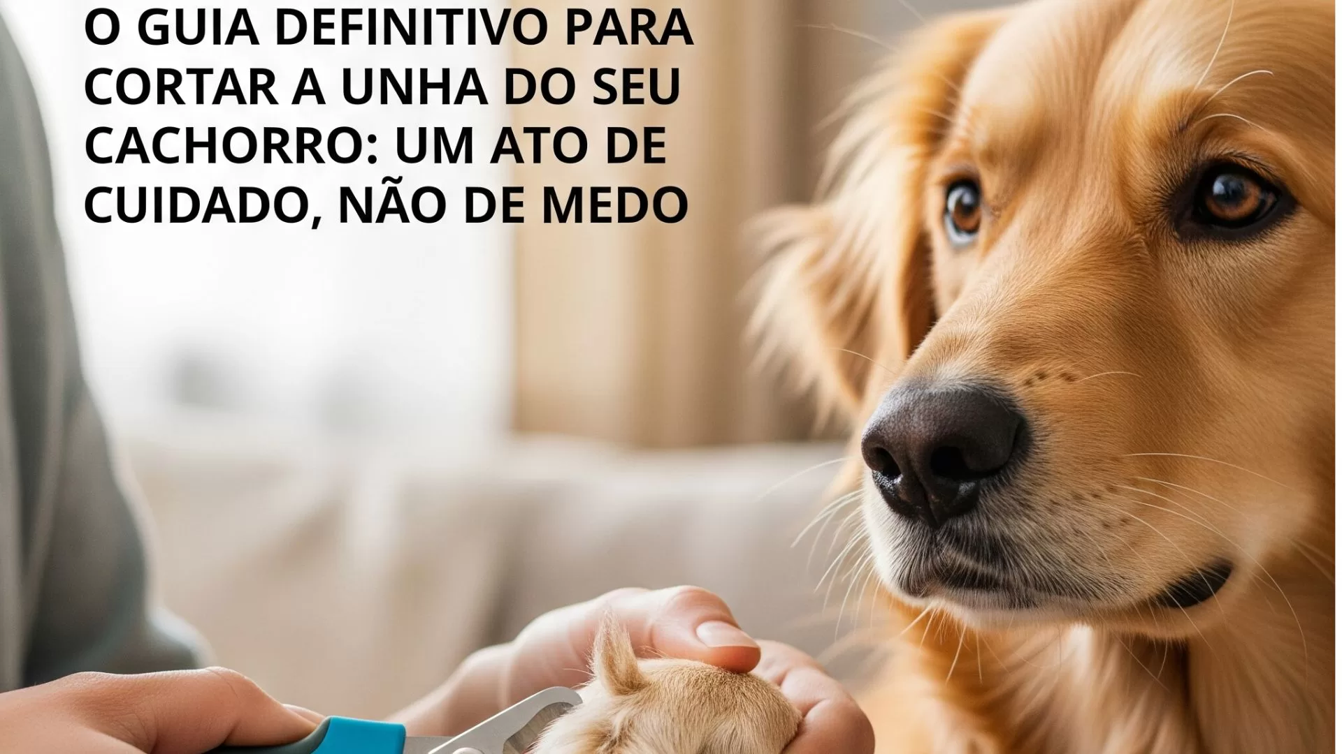 No momento, você está visualizando O Guia Definitivo para Cortar a Unha do Seu Cachorro: Um Ato de Cuidado, Não de Medo