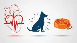 Leia mais sobre o artigo Um Guia Abrangente para a Alimentação Lenta em Cães: Saúde, Comportamento e Estratégias Práticas